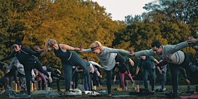 Image principale de Yoga Flow in Fred Fletcher Park