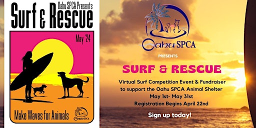 Hauptbild für "Surf & Rescue" Virtual Event