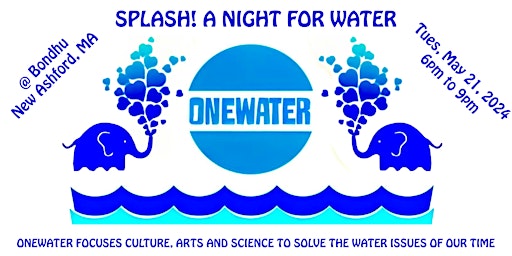 Immagine principale di Splash! A Night For Water 