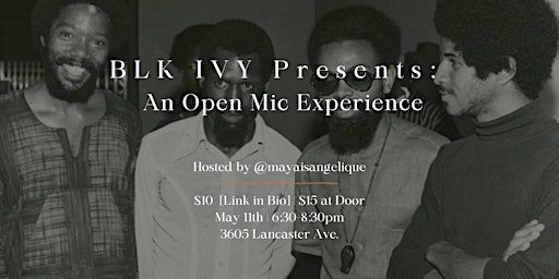 An Open Mic Experience