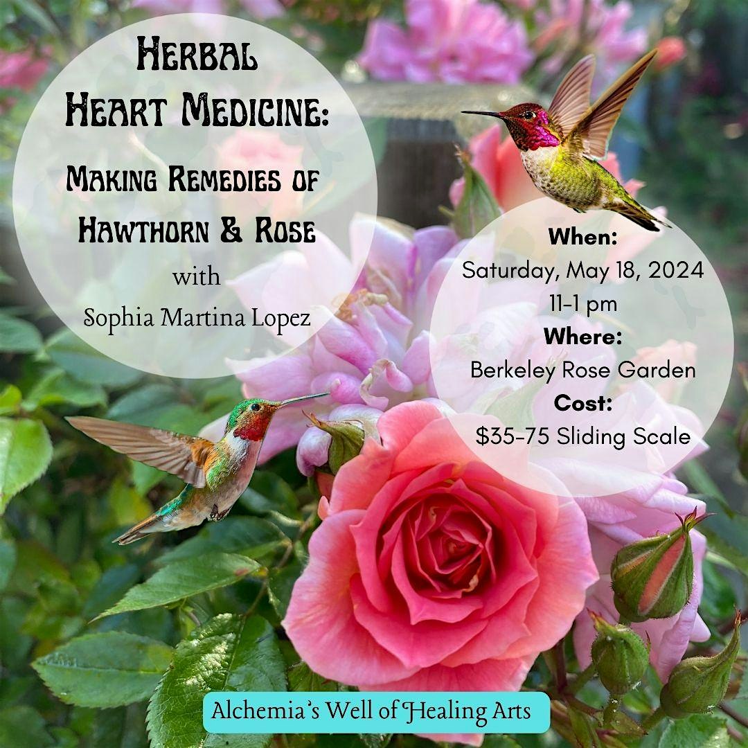 Herbal Heart Medicine: Making Remedies of Hawthorn & Rose