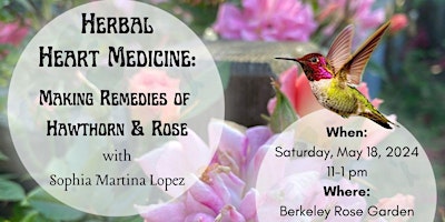 Imagem principal do evento Herbal Heart Medicine: Making Remedies of Hawthorn & Rose