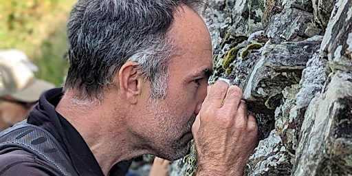 Primaire afbeelding van Love Lichens and Master Mosses