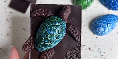 Primaire afbeelding van Chocolate Hawaiian Sea Turtle Decorating Class