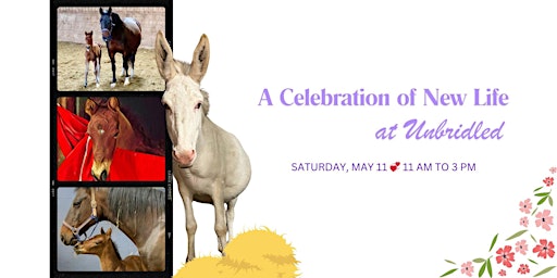 Imagem principal do evento Foal Shower: A Celebration of New Life at Unbridled