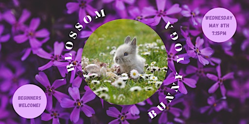 Blossom Bunny Yoga  primärbild