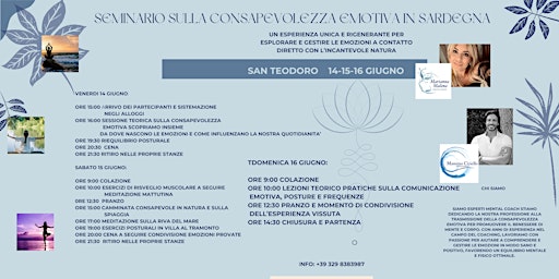 Immagine principale di Seminario sulla Consapevolezza Emotiva Sardegna 