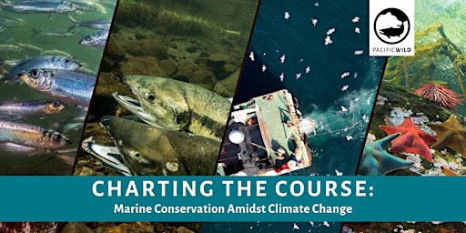 Imagen principal de Charting the Course: Marine Conservation Amidst Climate Change