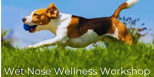 Imagem principal do evento How to Restore Your Dog's Quality of Life Workshop