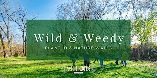 Imagem principal do evento Wild & Weedy: Plant ID & Nature Walks at Wild Roots Apothecary