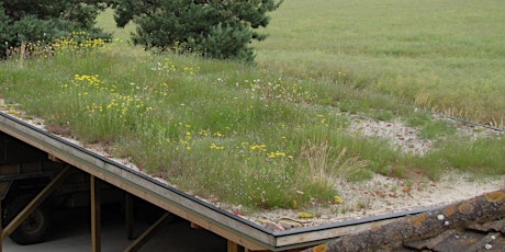 Green roof propagation primary image