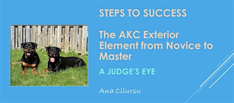 The Judge's Eye: Steps to Success in AKC Exteriors with Ana Cilursu