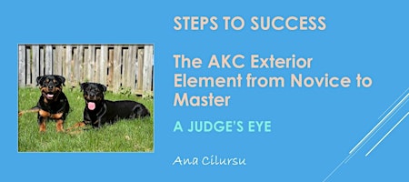 The Judge's Eye: Steps to Success in AKC Exteriors with Ana Cilursu primary image