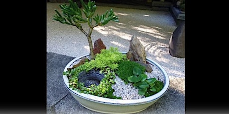Miniature Japanese garden workshop