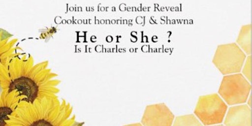 Image principale de “ He or  She “ ?  What will it Bee Gender Reveal CookOut