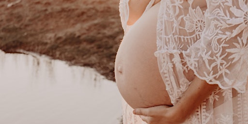 Imagem principal de Reclaiming Pregnancy