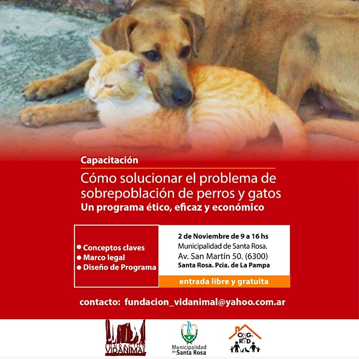 Imagen de CAPACITACIÓN REGIONAL Como solucionar la sobrepoblación de perros y gatos