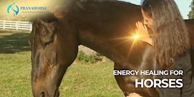 [in person] Energy Healing for Horses primary image