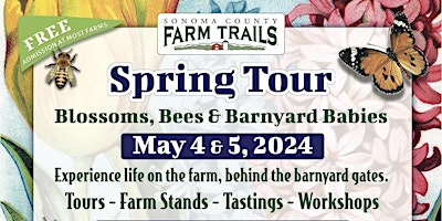 Imagen principal de Spring Farm Tour: Blossoms, Bees & Barnyard Babies