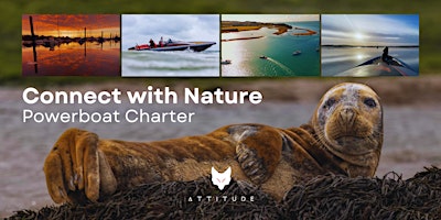 Immagine principale di Connect With Nature Powerboat Trip - Sunrise, Sea & Seals 