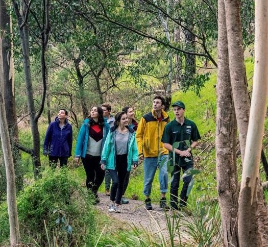 Nature Walk - Gresswell Forest