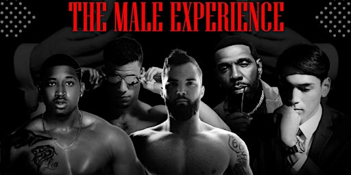 Primaire afbeelding van The Male Experience Exclusive VIP Package