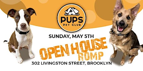 DOG ROMP and OPEN HOUSE - DoBro 27