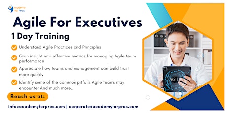 Agile For Executives 1 Day Training in New York City, NY on May 15th, 2024