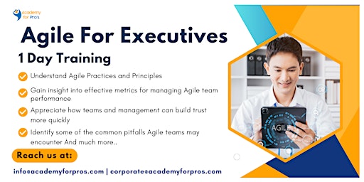 Imagem principal do evento Agile For Executives 1 Day Training in New York City, NY on May 15th, 2024