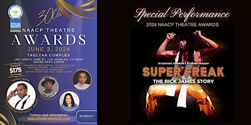 30th NAACP Theatre Awards  primärbild