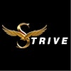Logo de STRIVE for Transformation Network
