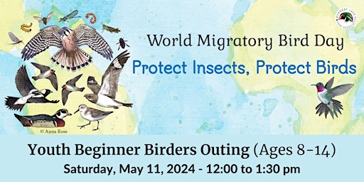 Imagen principal de World Migratory Bird Day  Spring 2024 - Youth Beginner Birders Outing