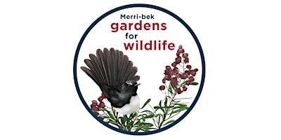 Image principale de Gardens for Wildlife Winter Workshop - Merri-bek
