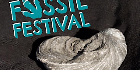 Redcar Fossil Safari - Yorkshire Fossil Festival 2024