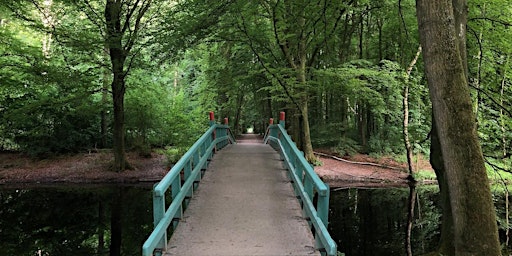 Forest Bathing in Amsterdam primary image