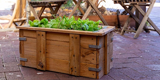 Imagen principal de Wicking bed for small spaces