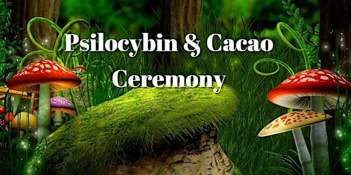 MUSHROOM AND CACAO CEREMONY - JOSHUA TREE primary image