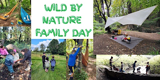 Immagine principale di MONDAY FAMILY FOREST SCHOOL 6 WEEK PROGRAMME 