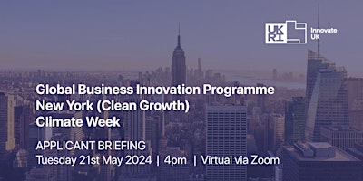 Primaire afbeelding van Global Business Innovation Programme  New York Applicant Briefing