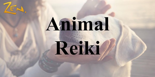 Animal Reiki primary image