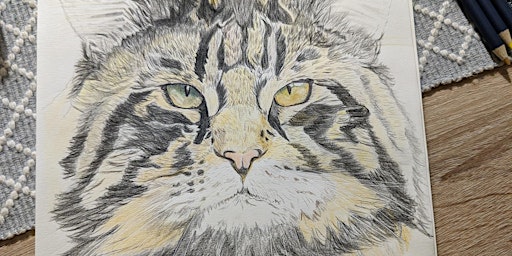 Beloved Pet Portraits Workshop - Wellness through Art 17th of May primary image