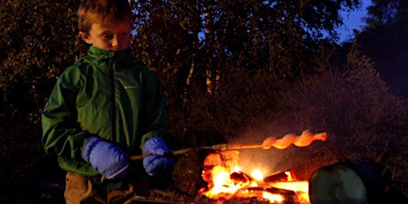 Beasts before Bedtime 2: torchlit walk and campfire stories. primary image