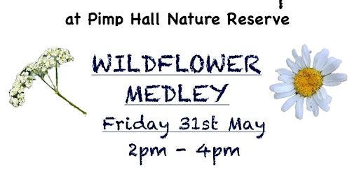 Hauptbild für Wildflower Medley on Friday