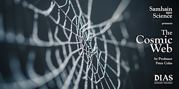 Samhain agus Science - The Cosmic Web