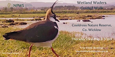 Wetland Waders Guided Walk at Cooldross
