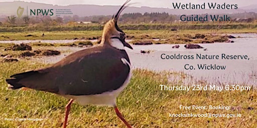 Wetland Waders Guided Walk at Cooldross primary image