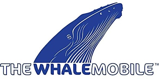 Immagine principale di Meet NILE, the Inflatable  Humpback Whale 