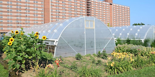 Immagine principale di Building Healthy Soils in the Garden 