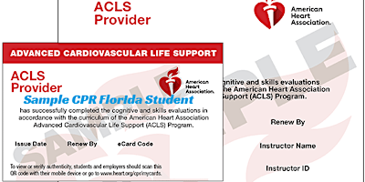 Primaire afbeelding van BLS and ACLS and PALS Classes in Miami