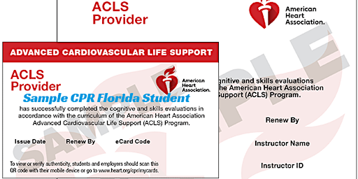 Image principale de BLS and ACLS and PALS Classes in Miami